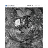 황금윤 개인전 《그루터기, 남겨진 시간의 자리》